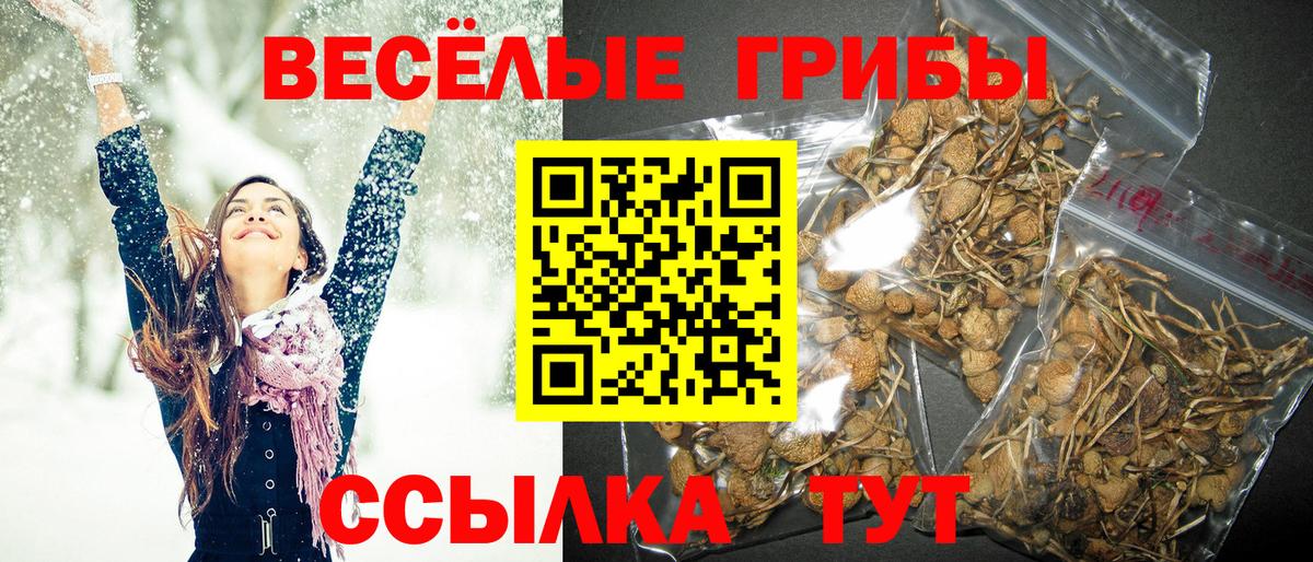 Екатеринбург  Галлюциногенные грибы прущие грибы  Псилоцибиновые грибы Magic Shrooms  Вход с VPN 