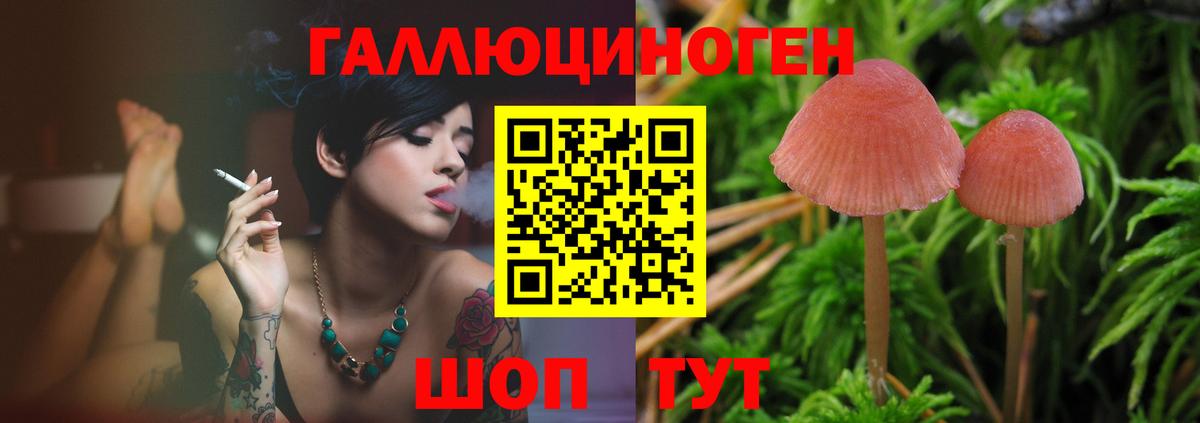 Галлюциногенные грибы Cubensis Екатеринбург